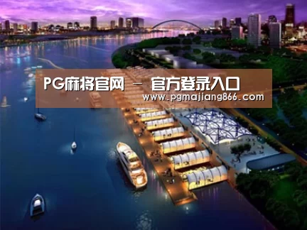 案例展示八