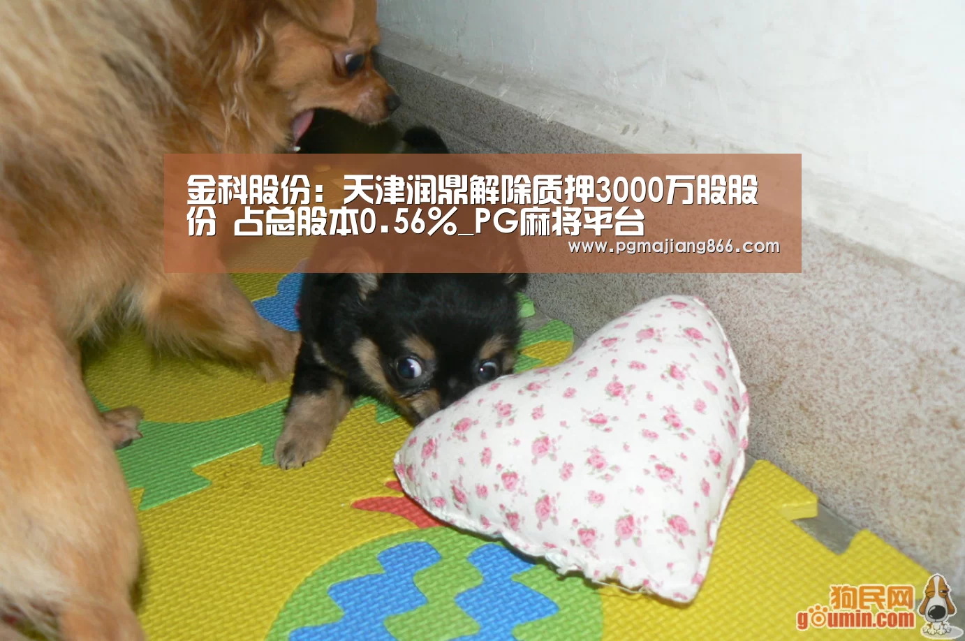 金科股份:天津润鼎解除质押3000万股股份 占总股本0.56%_PG麻将平台(图2) PG麻将平台