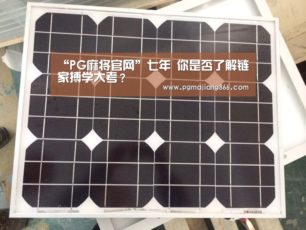 PG麻将平台