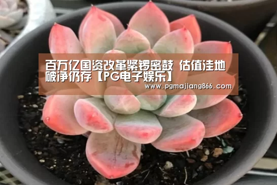 百万亿国资改革紧锣密鼓 估值洼地破净仍存【PG电子娱乐】(图1) PG棋牌