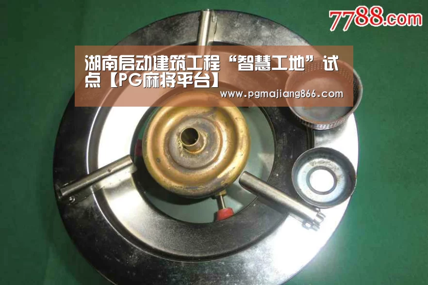 PG麻将官网