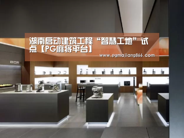 PG麻将平台